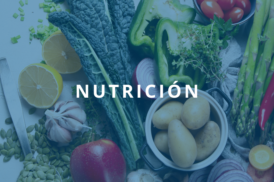 Servicios - Clínica Dr. Rafael Salido - Estética y Nutrición en Córdoba